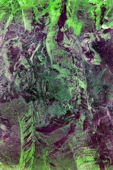 A 291D